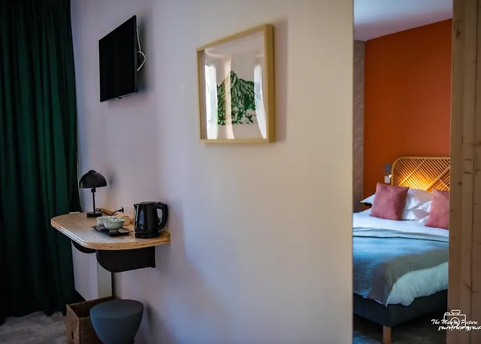 Logis Altitude Et * Pierre-Percée