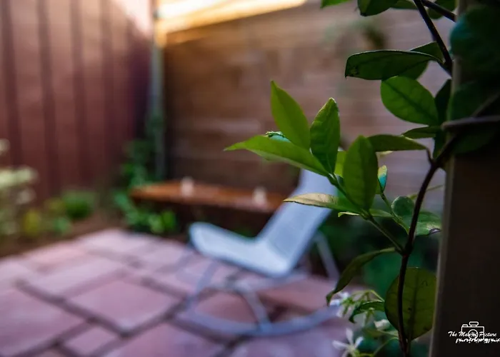 Logis Altitude Et מלון Pierre-Percée